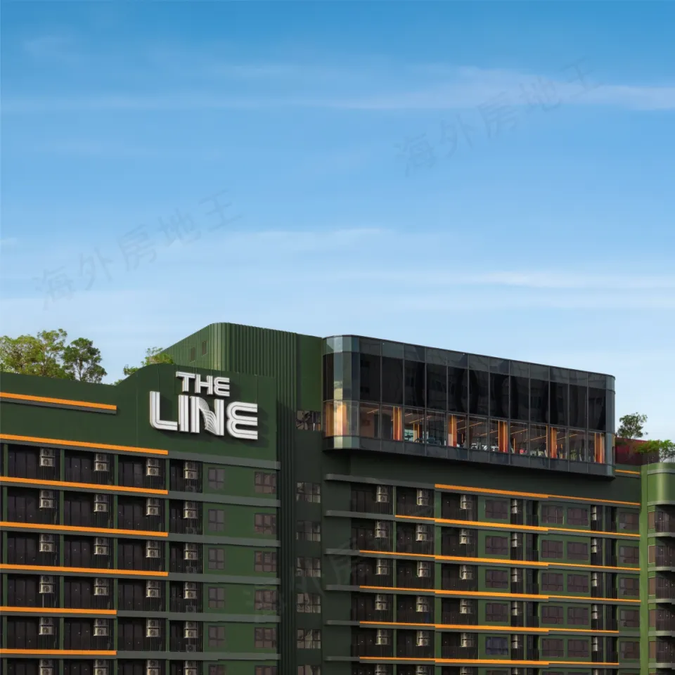 The Line Vibe